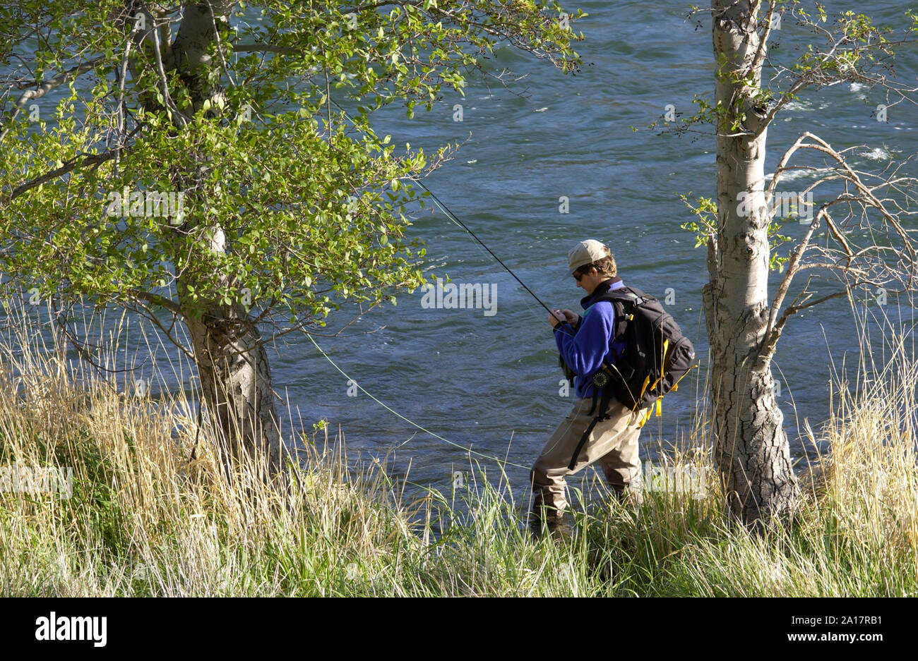 L'homme pêche de mouche sur la rivière Deschutes, Oregon USA Banque D'Images