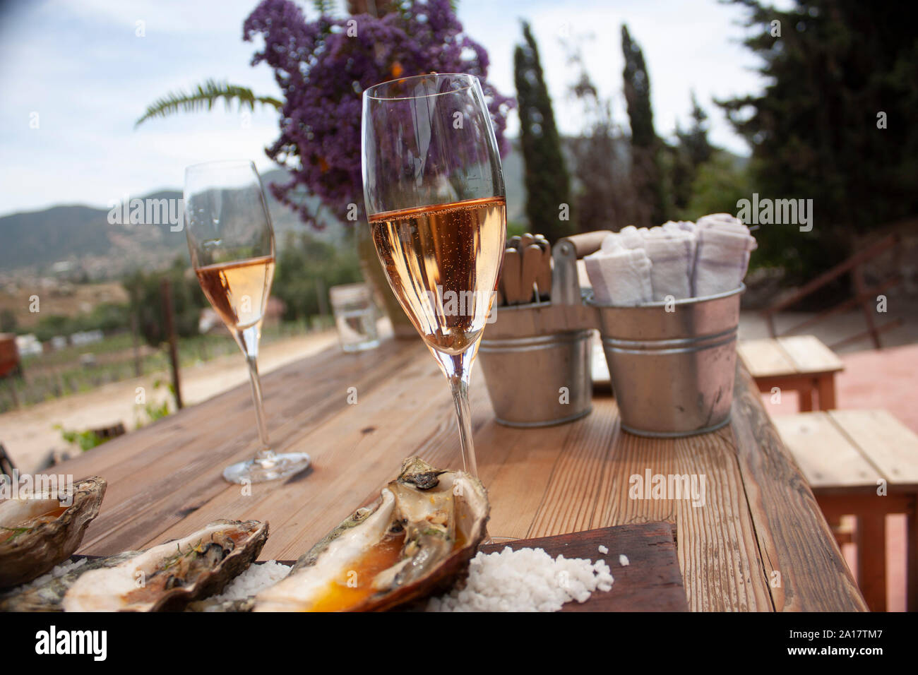 Ostras cocinadas de forma cobre gastronomique sal en tabla de madera para maridaje con vino rosado espumoso en Baja California au Mexique Banque D'Images