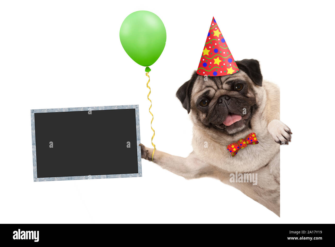 Frolic smiling anniversaire chien pug, avec ballon et décoration hat holding blank blackboard signe, isolé sur fond blanc Banque D'Images