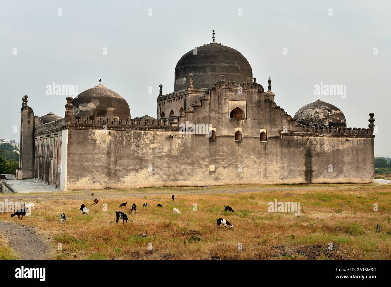 Avis de Gulbarga Jamia mosquée construite au 14e siècle, Karnataka, Inde. Banque D'Images