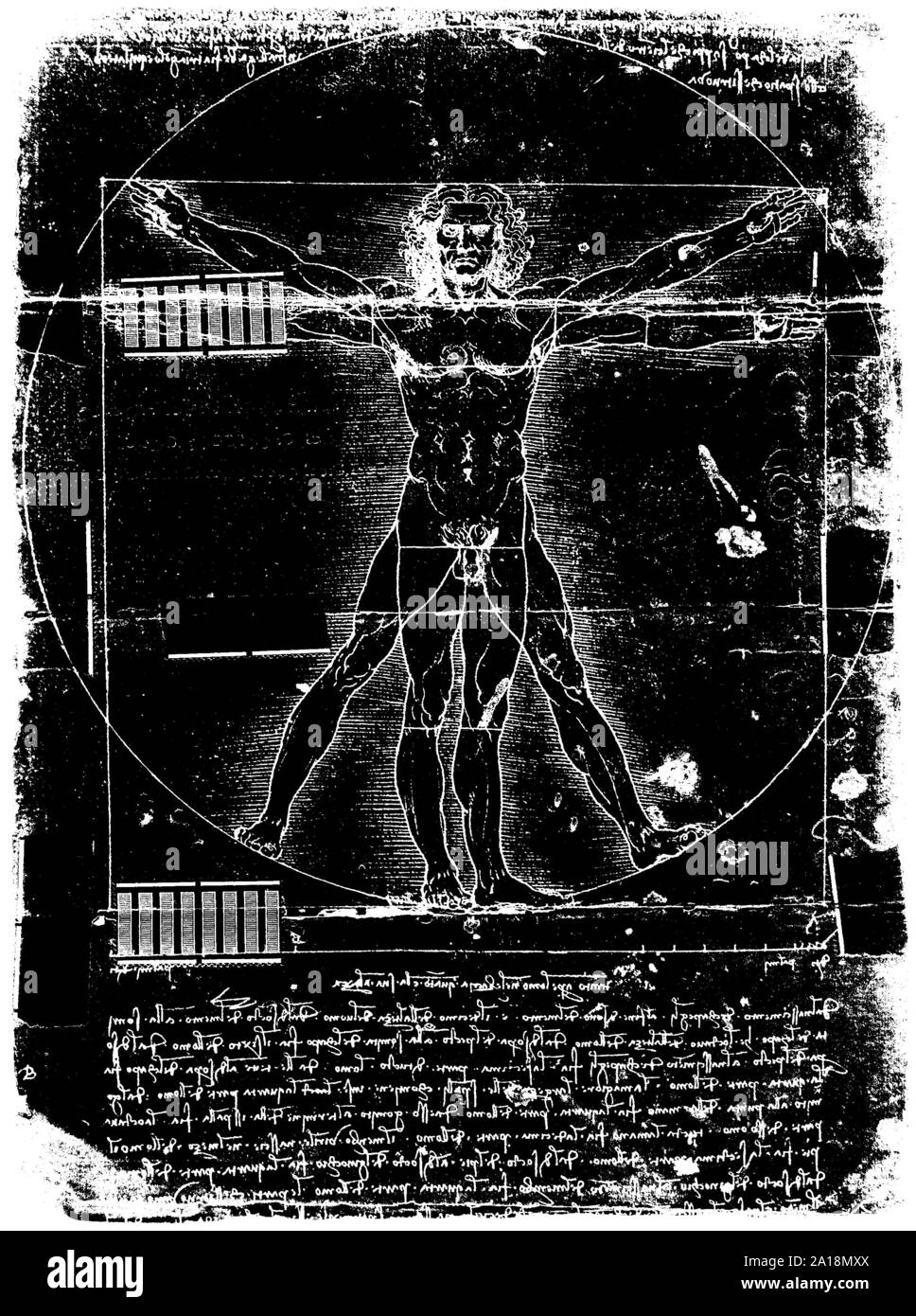 Photo de l'homme de Vitruve par Leonardo Da Vinci de 1492 sur fond texturé. Banque D'Images