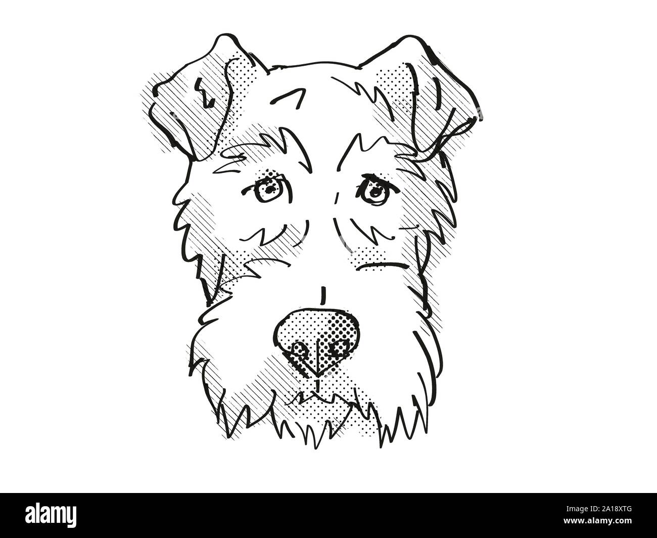 Retro cartoon style dessin de tête d'un fox terrier, un chien de race canine ou isolé sur fond blanc en noir et blanc. Banque D'Images
