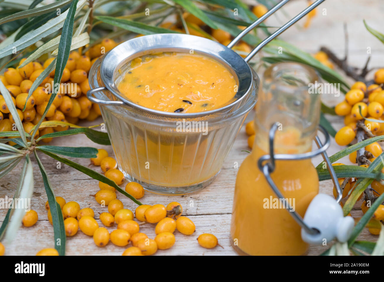 Sanddorn-Saft Sanddornsaft, Saft Sanddornbeeren, aus, Kerne Früchte der werden mit einem Sieb, abgesiebt Beeren, Früchte, Sanddorn, Sand-Dorn, Küsten- Banque D'Images