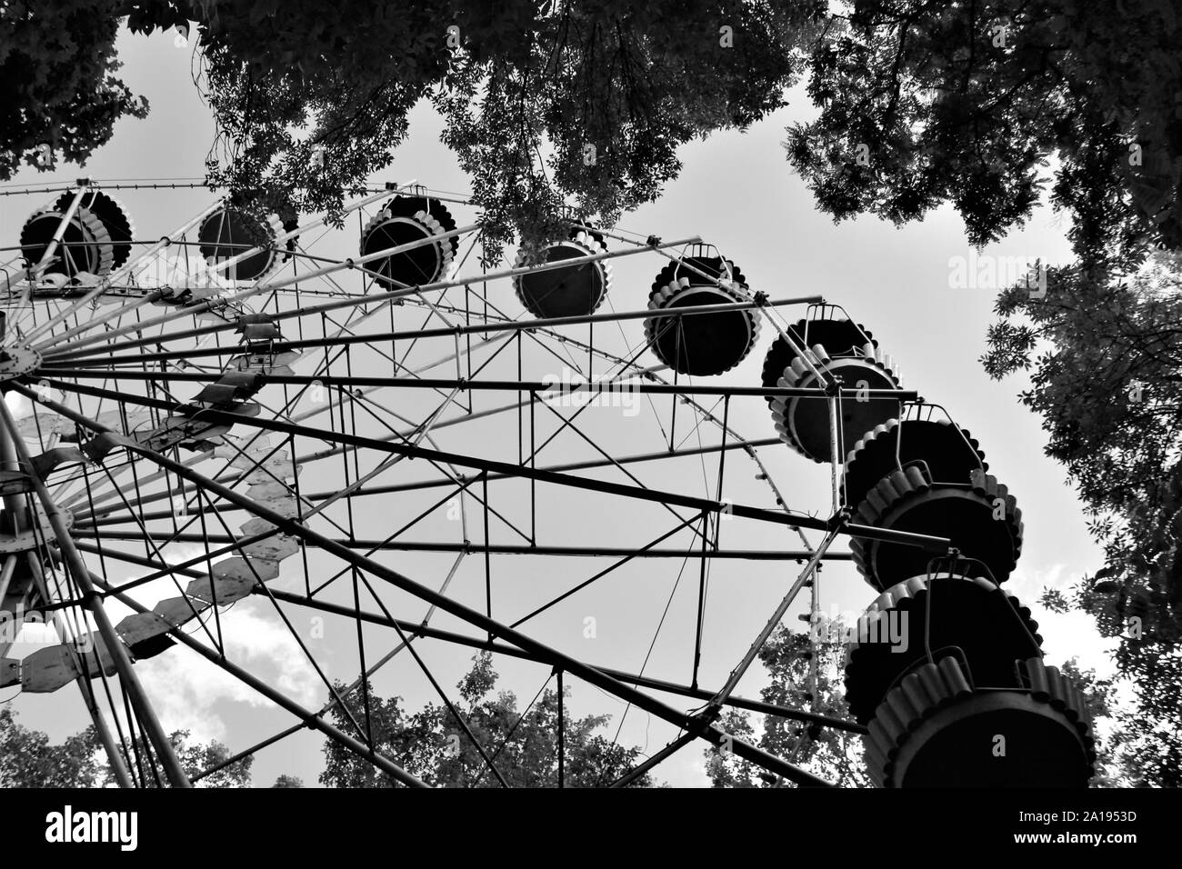 Grande roue entre les branches d'arbres, noir et blanc Banque D'Images