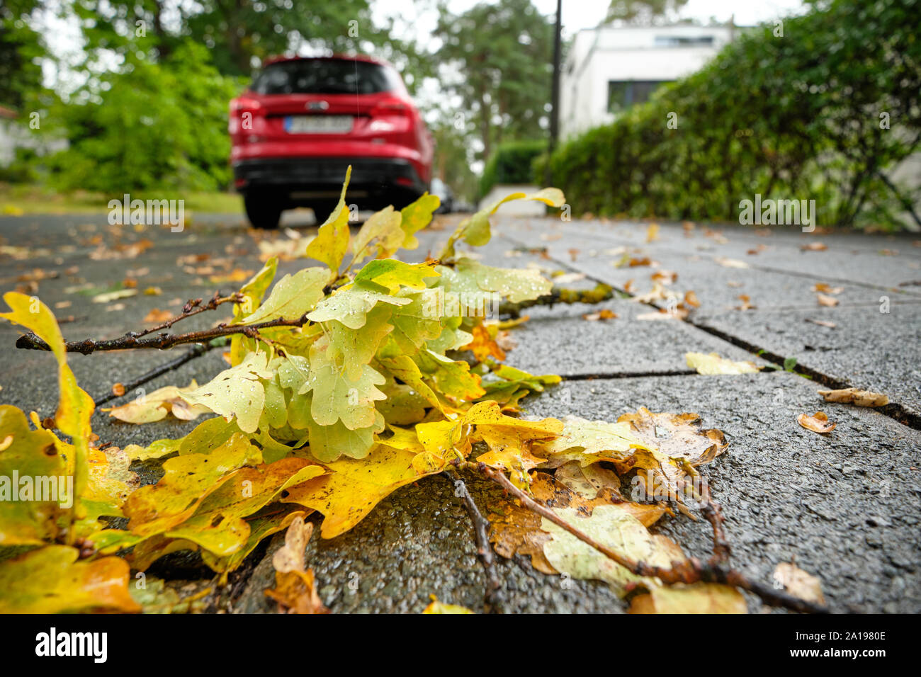 Nuremberg, Allemagne - 23 septembre 2019 : Feuilles d'automne jaune humide sont allongés sur le trottoir avec une voiture parking en face sur un jour de l'automne pluvieux Germa Banque D'Images