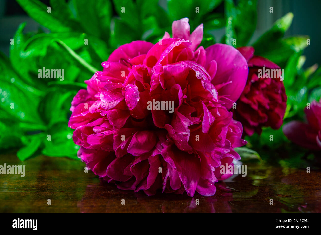 Fleurs rose et rouge avec des branches vertes sur une table. Banque D'Images