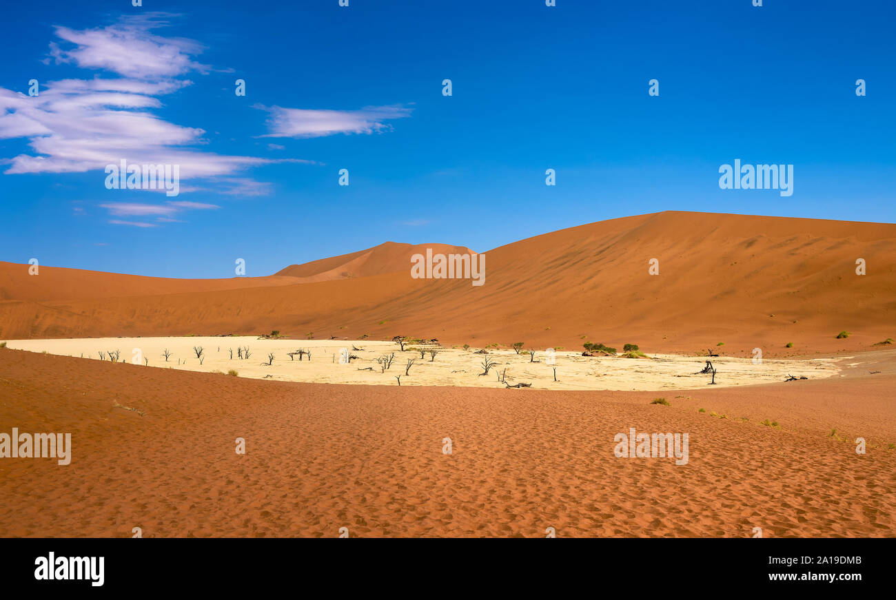 Deadvlei avec arbres morts dans le désert du Namib en Namibie Banque D'Images