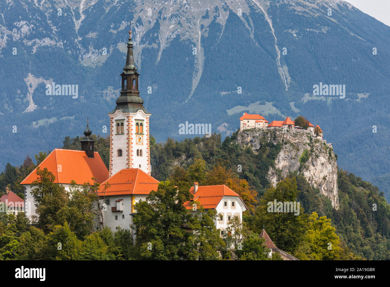 Le lac de Bled, en Slovénie. L'église Sainte-Marie de l'Assomption et casltle sur la falaise Banque D'Images