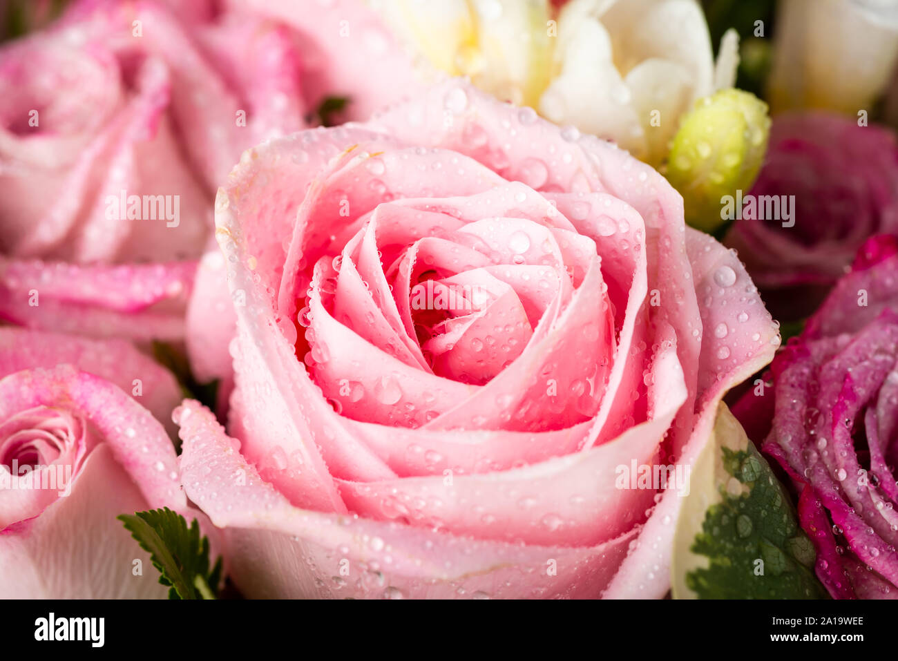 Bouquets De Luxe De Fleurs Mixtes Dans La Boîte à Chapeau Dans Les Mains Des Filles