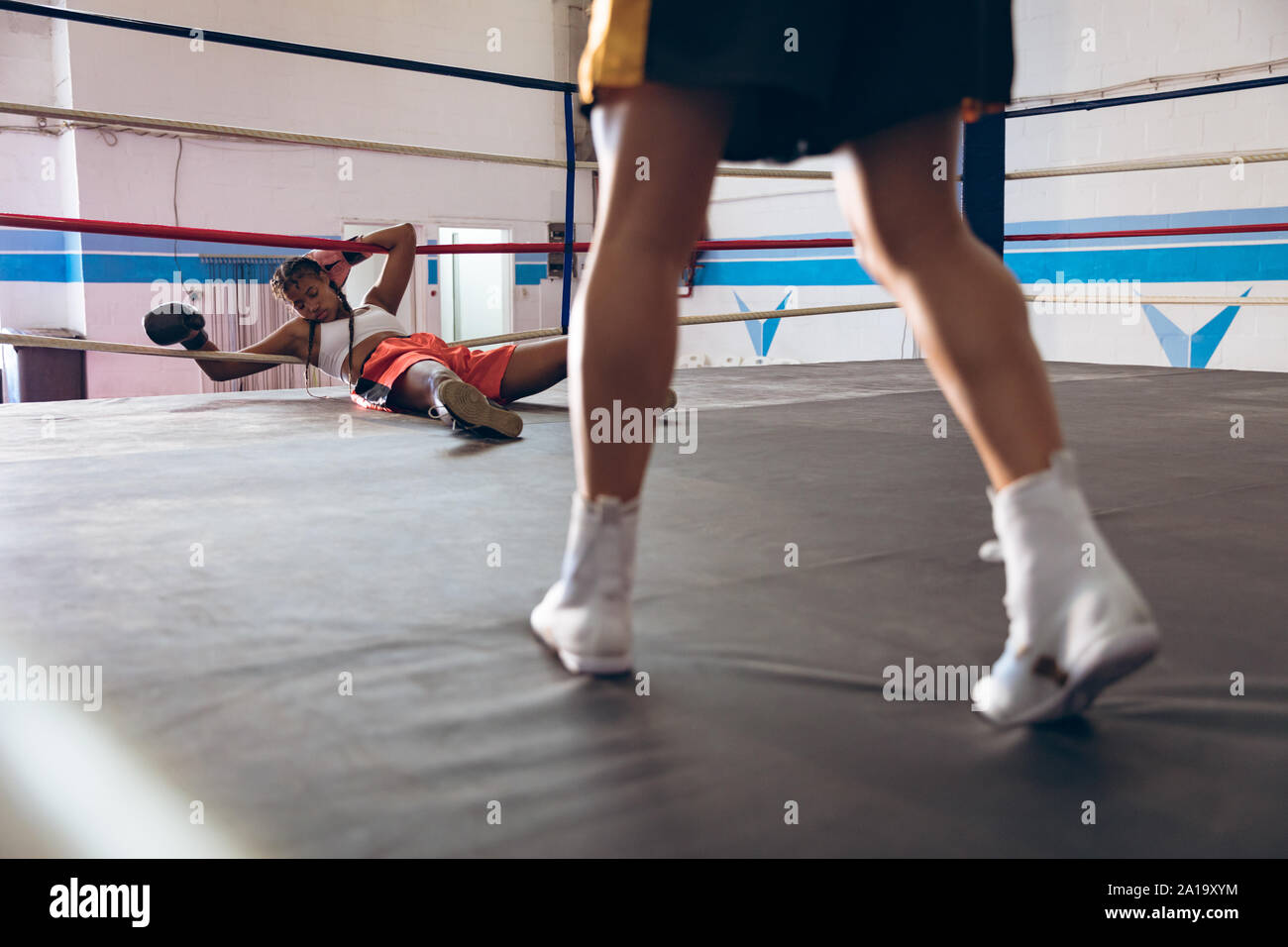 Boxer couché dans ring de boxe au centre de remise en forme Banque D'Images