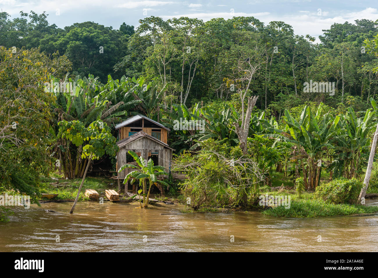 Obersations sur deux jours de voyage en bateau de Manaus à Tefé, Rio Solimoes, Amazonas, l'Amazonie, Brésil, Amérique Latine Banque D'Images