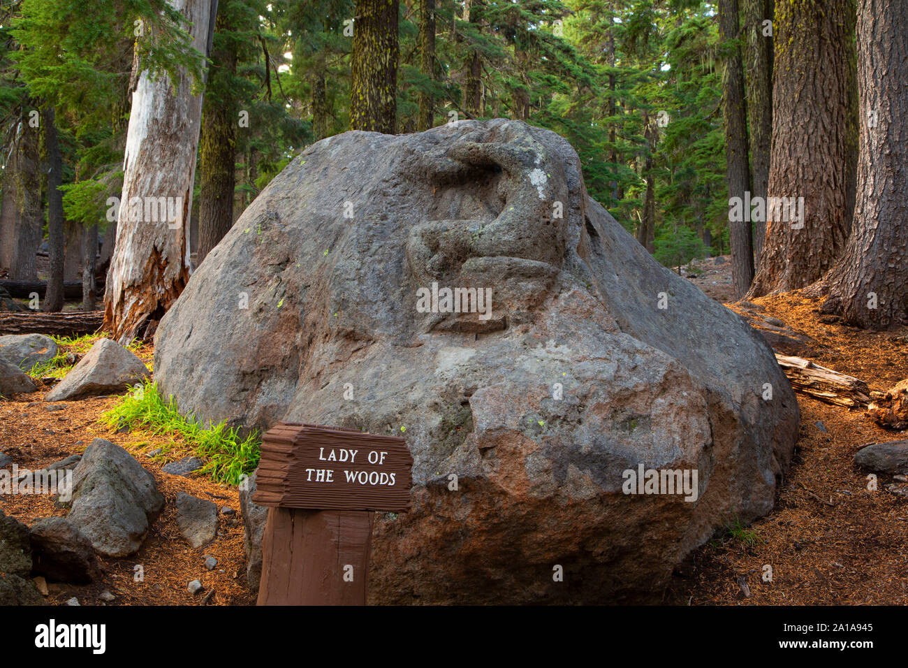 Dame des Bois, Crater Lake National Park, héritage Volcano National Scenic Byway, Oregon Banque D'Images