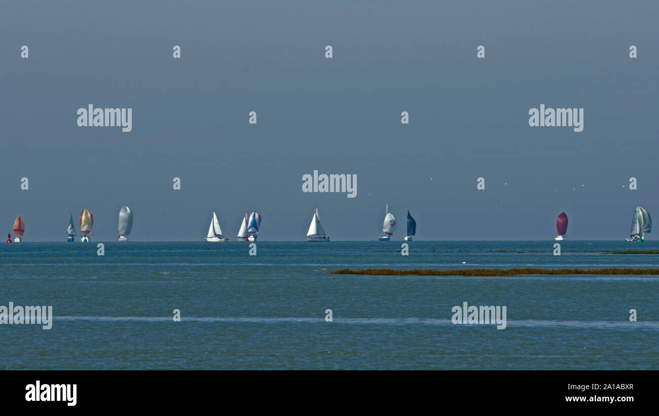 Régate au large du Crotoy et de Saint Valery sur Somme. Voiles et voiliers sur l'horizon par grande marée et pleine mer Banque D'Images