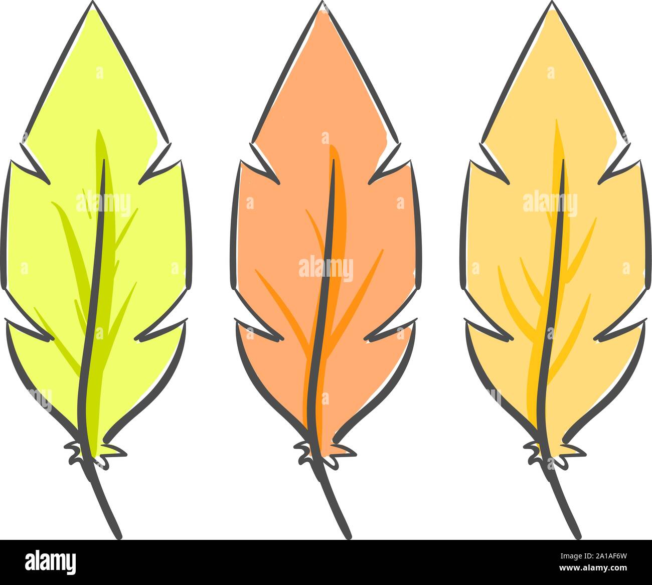 Plumes, illustration, vecteur sur fond blanc. Illustration de Vecteur