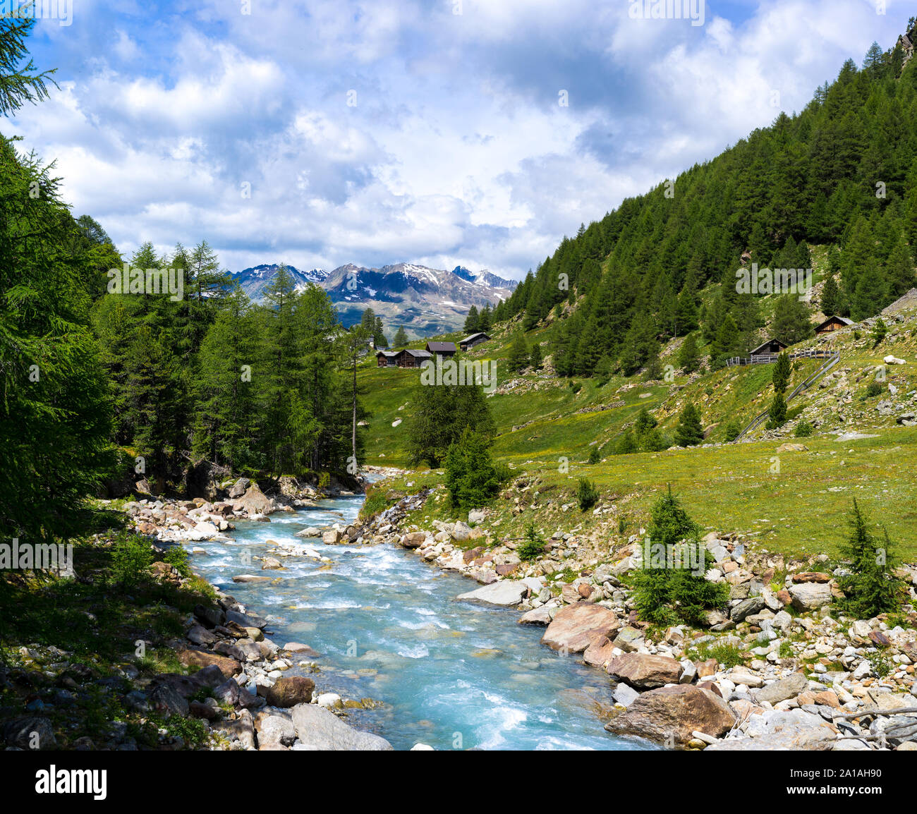 Une belle rivière dans les montagnes avec l'herbe verte. La photo a été prise dans les Alpes. Banque D'Images