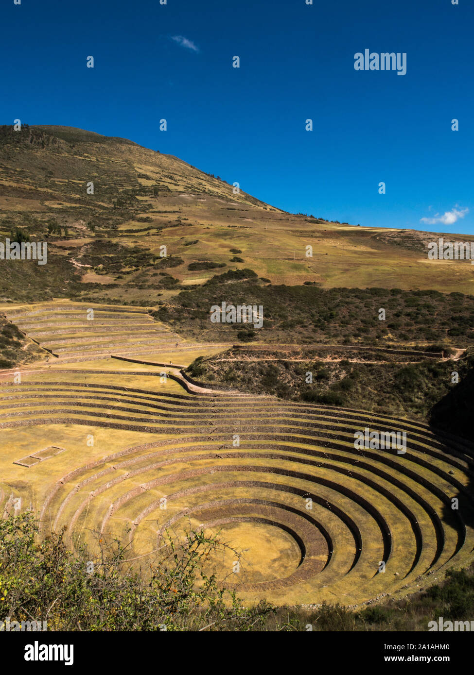 Moray, Incas champs expérimentaux dans les Andes péruviennes à Cuzco, Pérou. L'Amérique du Sud. Banque D'Images