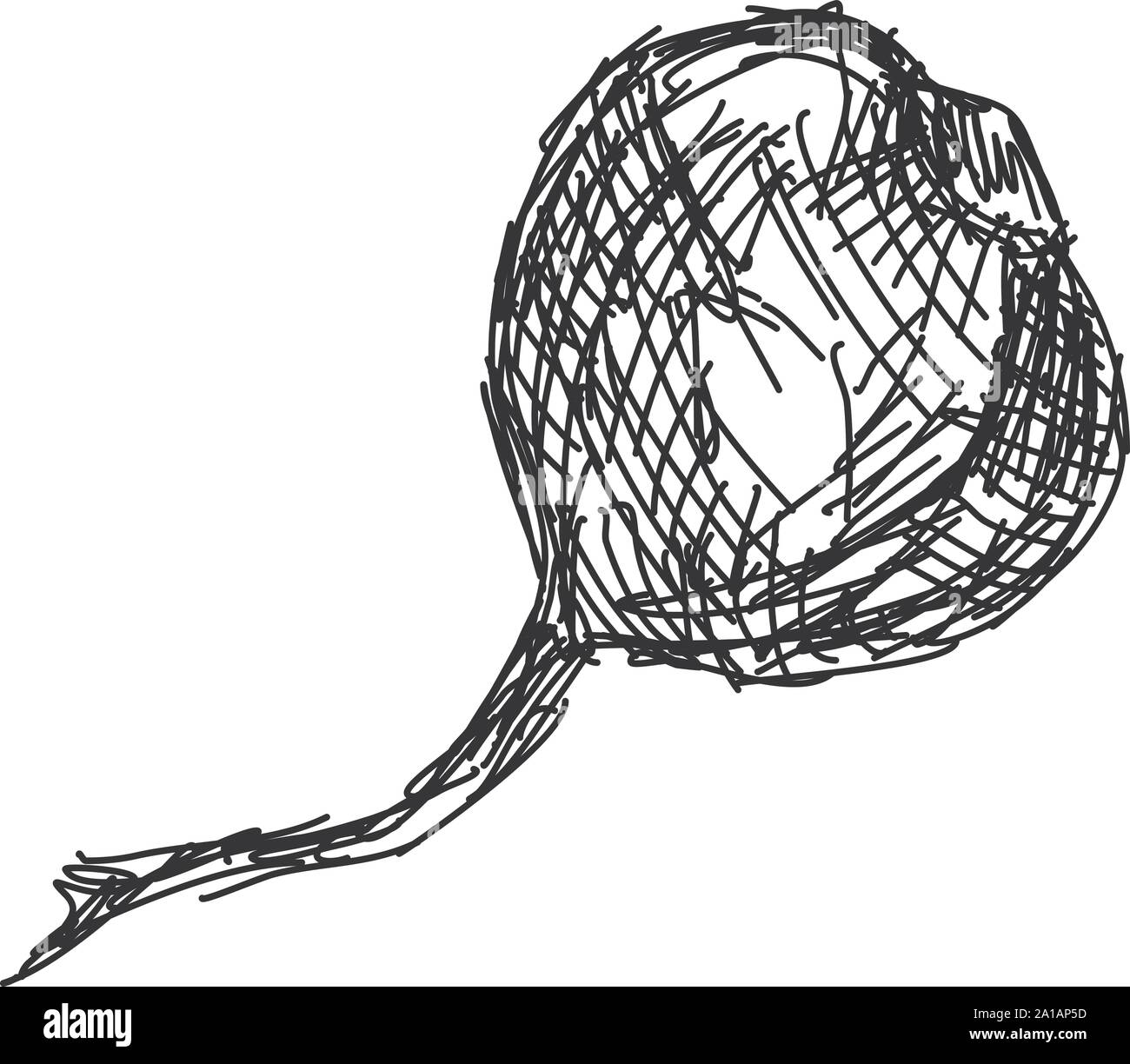 Dessin de betterave, illustration, vecteur sur fond blanc. Illustration de Vecteur