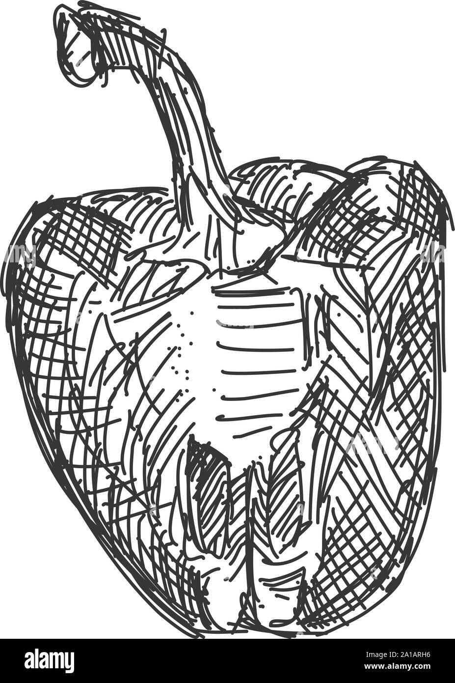 Dessin, illustration, poivre vecteur sur fond blanc. Illustration de Vecteur