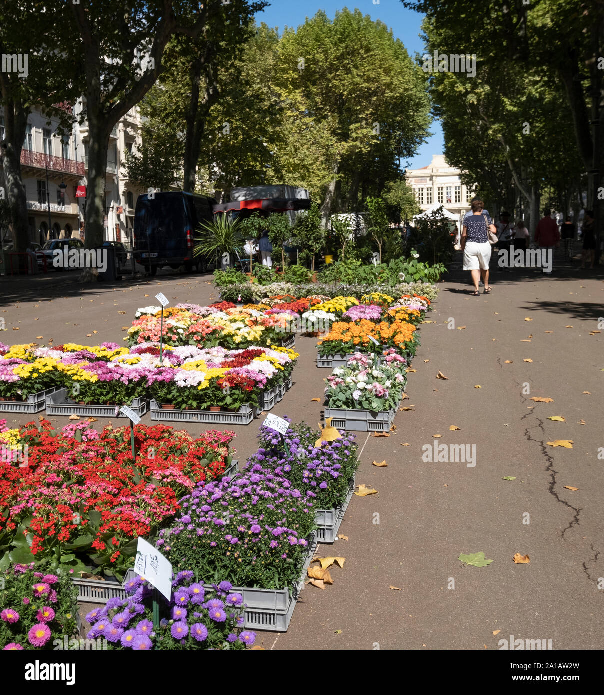 Beziers, France ; 6 septembre 2019 Béziers - marché aux fleurs Banque D'Images