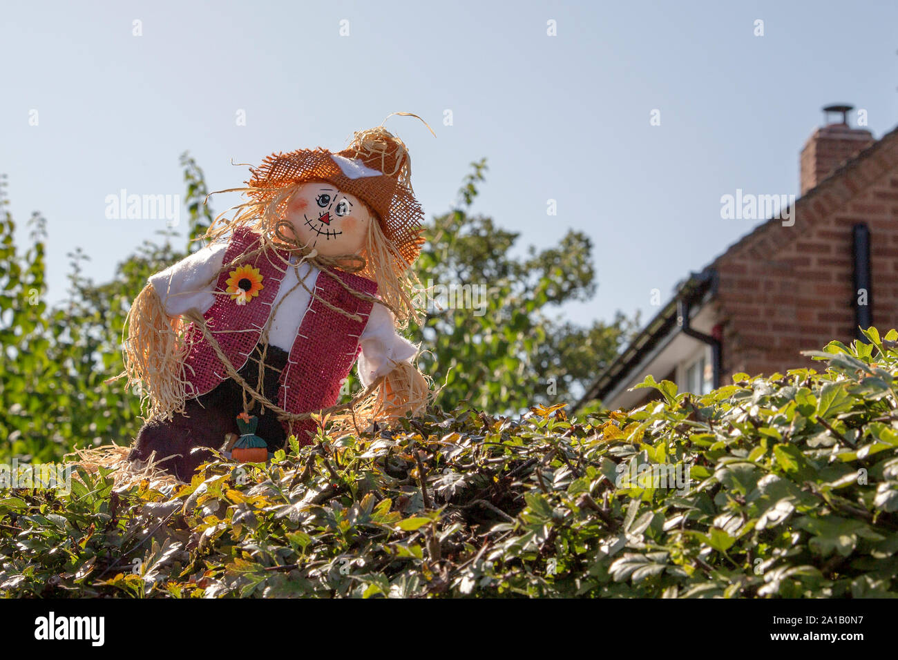 Épouvantail dans une haie. L'un des nombreux épouvantails affichée par les habitants de Belbroughton Belbroughton Festival de l'Épouvantail Banque D'Images