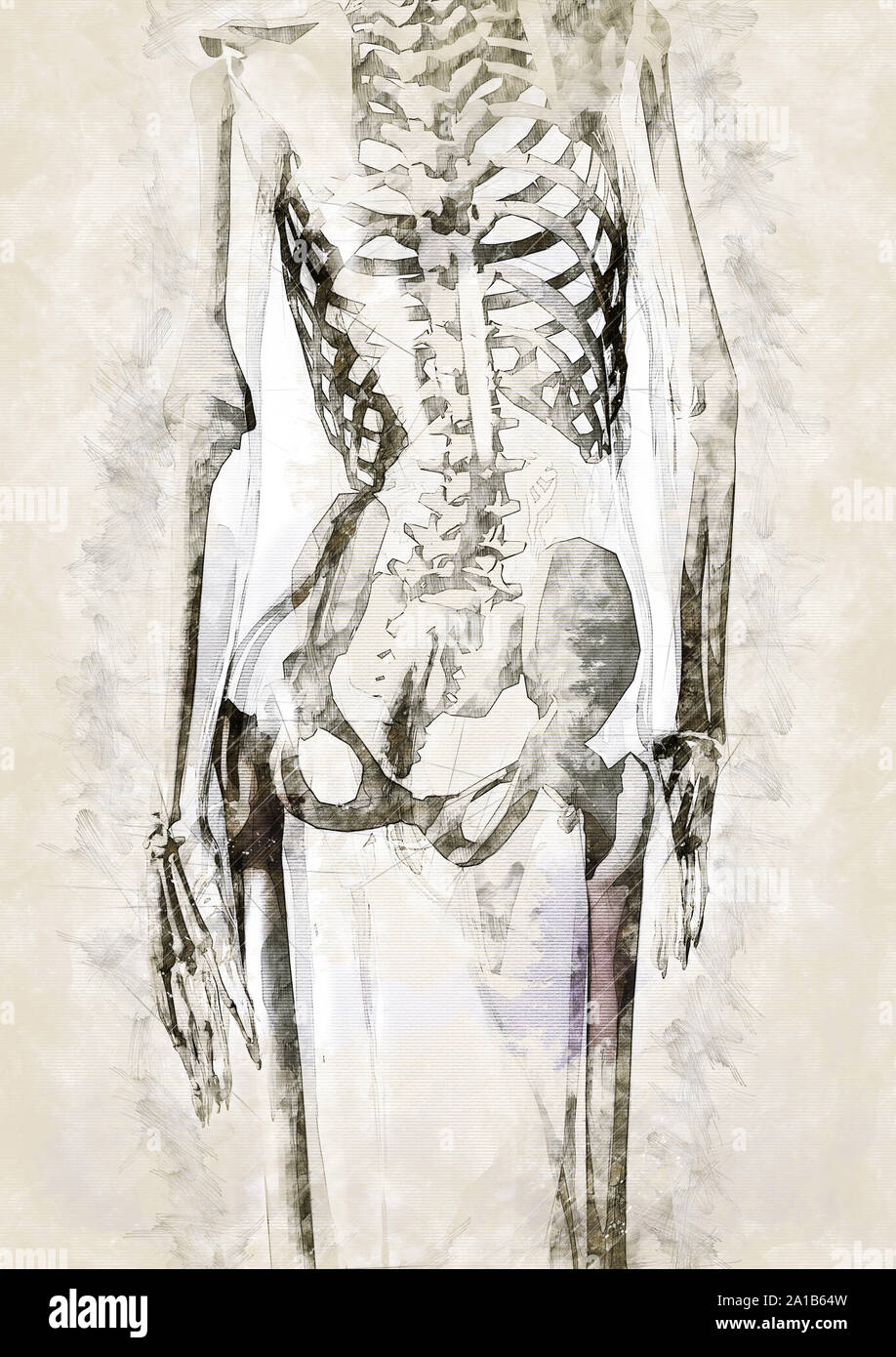 Croquis artistique numérique de l'anatomie humaine, d'après ses propres Rendu 3D, des biens non nécessaires. Banque D'Images Croquis artistique numérique de l'anatomie humaine, d'après ses propres Rendu 3D, des biens non nécessaires. Banque D'Images