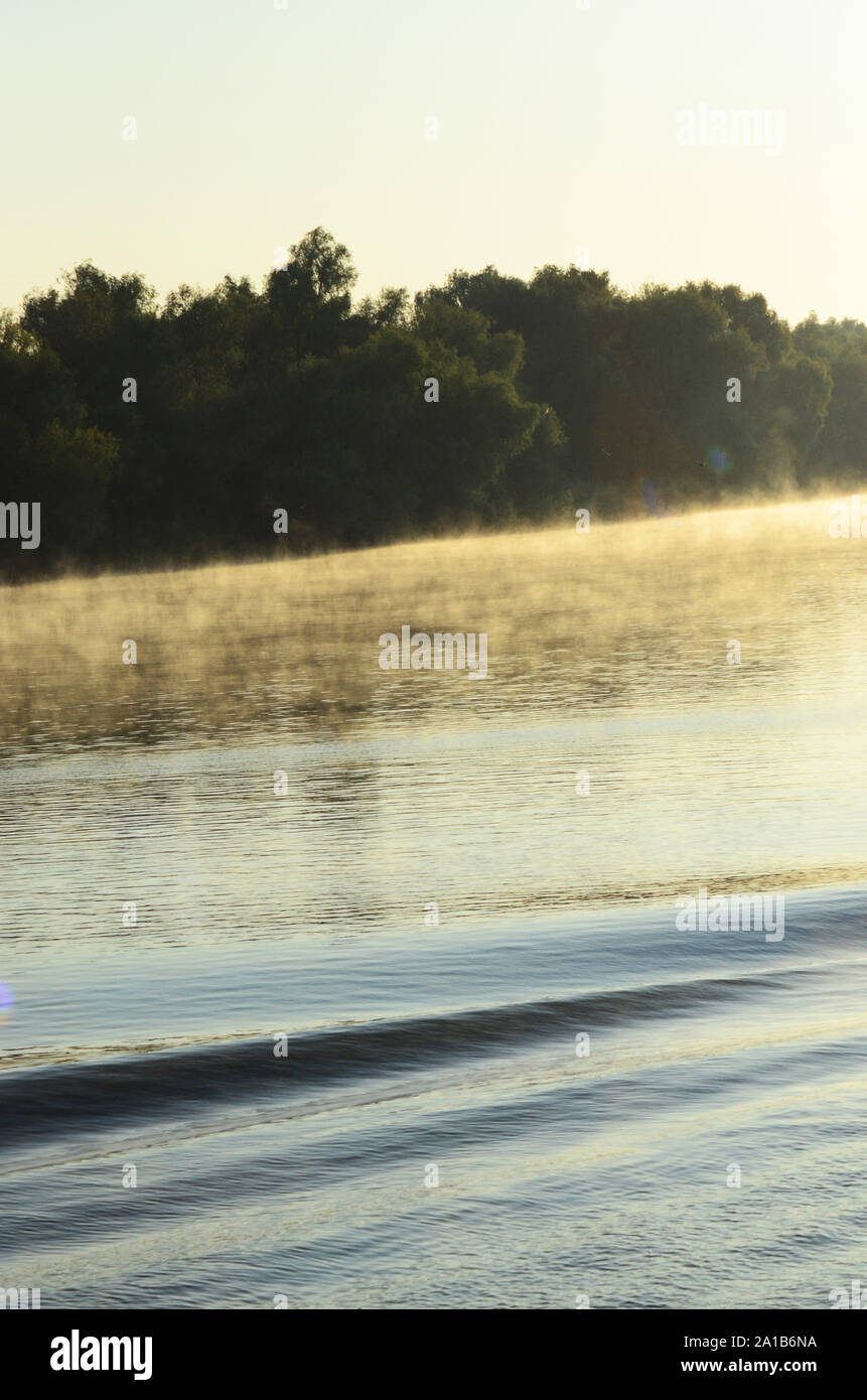 Mist s'élève au-dessus de l'eau du Danube, le Delta du Danube, Roumanie Banque D'Images