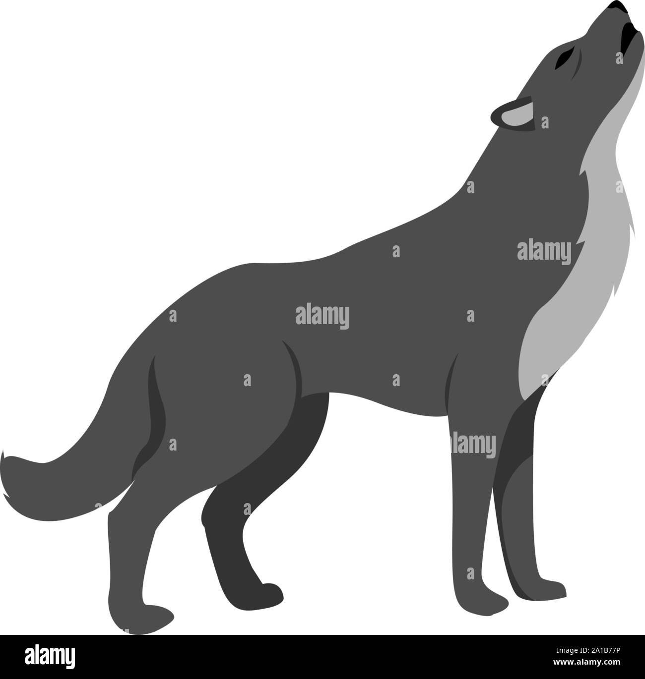 Loup noir, illustration, vecteur sur fond blanc. Illustration de Vecteur