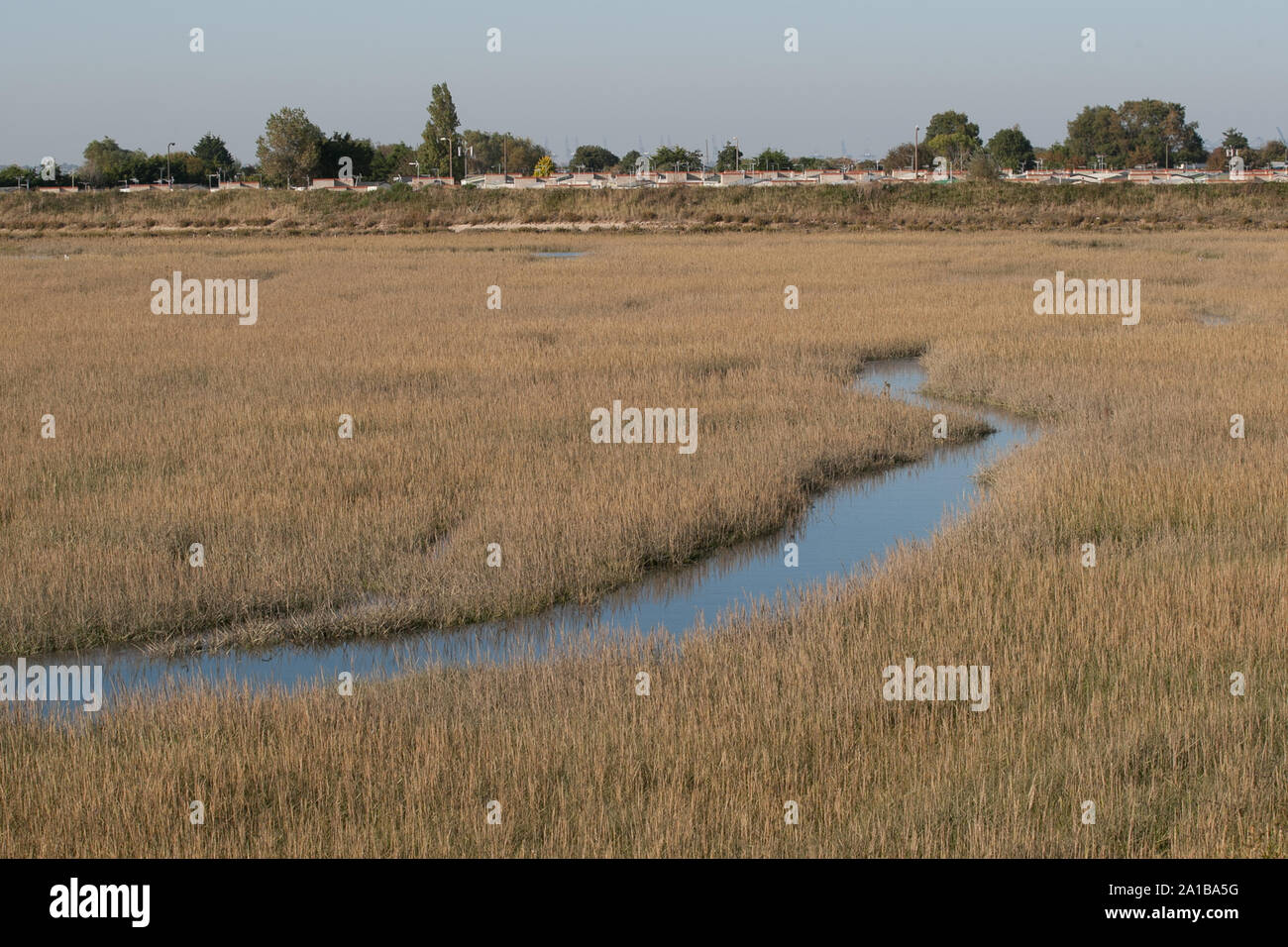 SSSI Rivière Stour et la rivière Orwell l'Essex  ? Banque D'Images