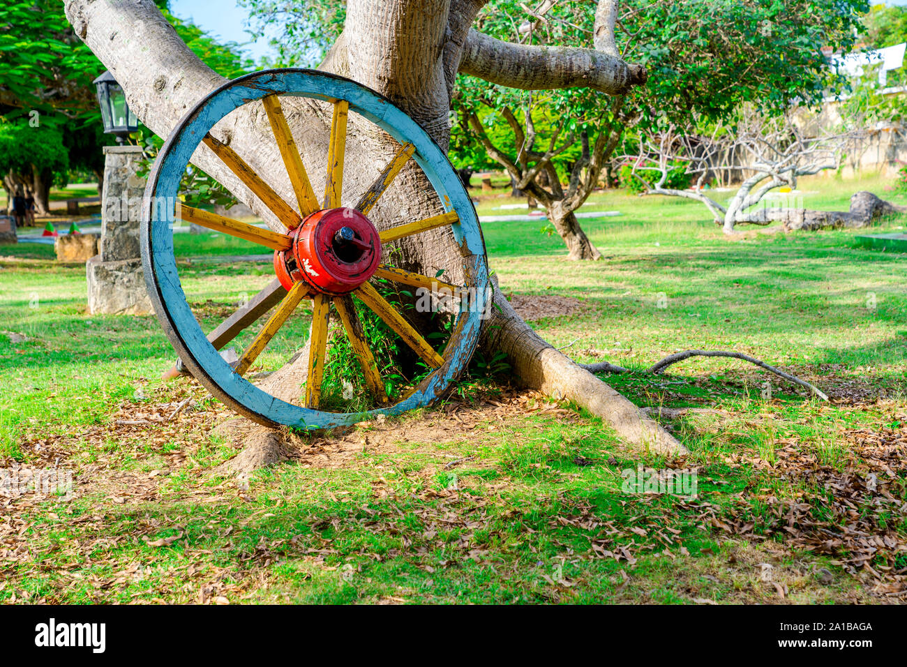 Roue en bois près d'un arbre dans le parc Josone Varadero, Cuba. Banque D'Images