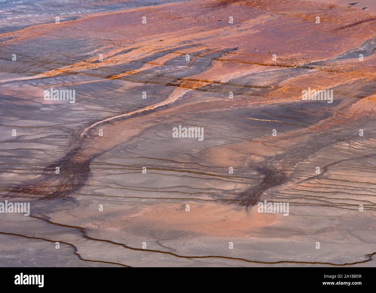 Close-up de colonies d'algues thermophiles et minéraux, Grand Prismatic Spring, Midway Geyser Basin, Parc National de Yellowstone, Wyoming, USA Banque D'Images