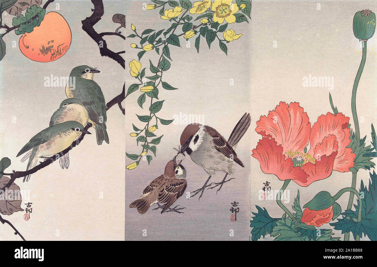 Des oiseaux et des plantes, par l'artiste japonais Ohara Koson, 1877 - 1945. Ohara Koson faisait partie de la shin-hanga, ou nouvelle imprime le mouvement. Banque D'Images