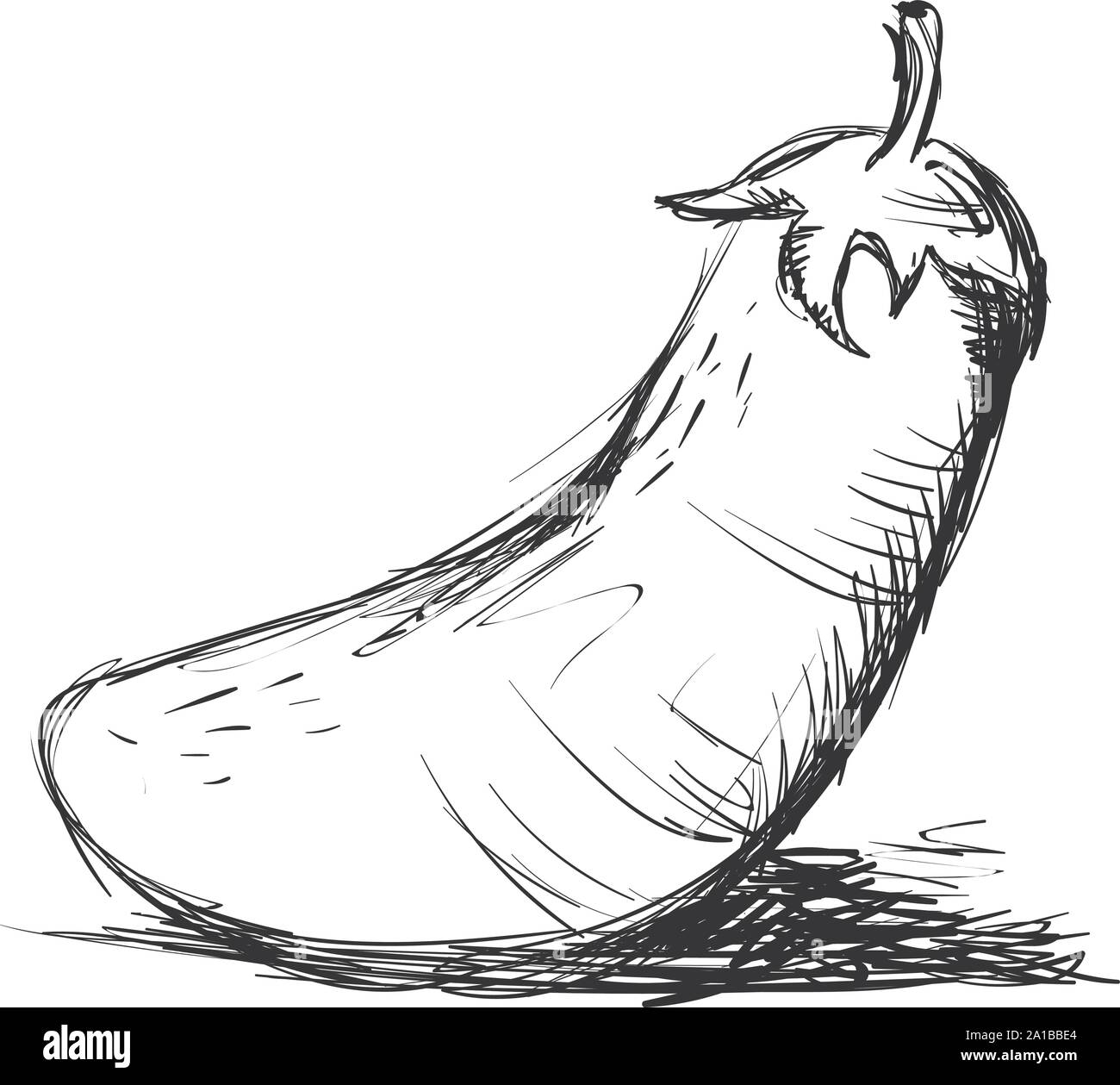 Dessin d'aubergine, illustration, vecteur sur fond blanc. Illustration de Vecteur