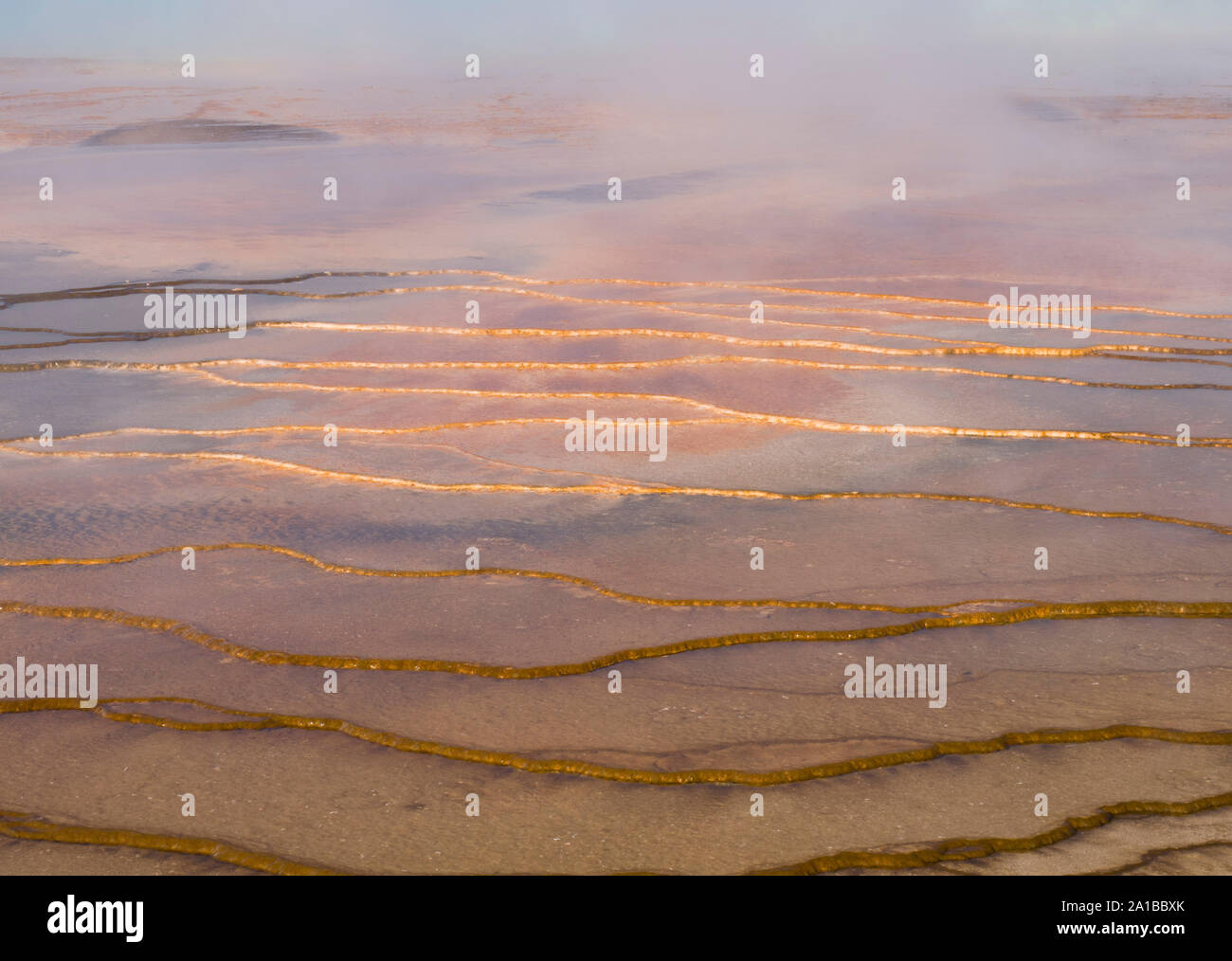 Close-up de colonies d'algues thermophiles et minéraux, Grand Prismatic Spring, Midway Geyser Basin, Parc National de Yellowstone, Wyoming, USA Banque D'Images