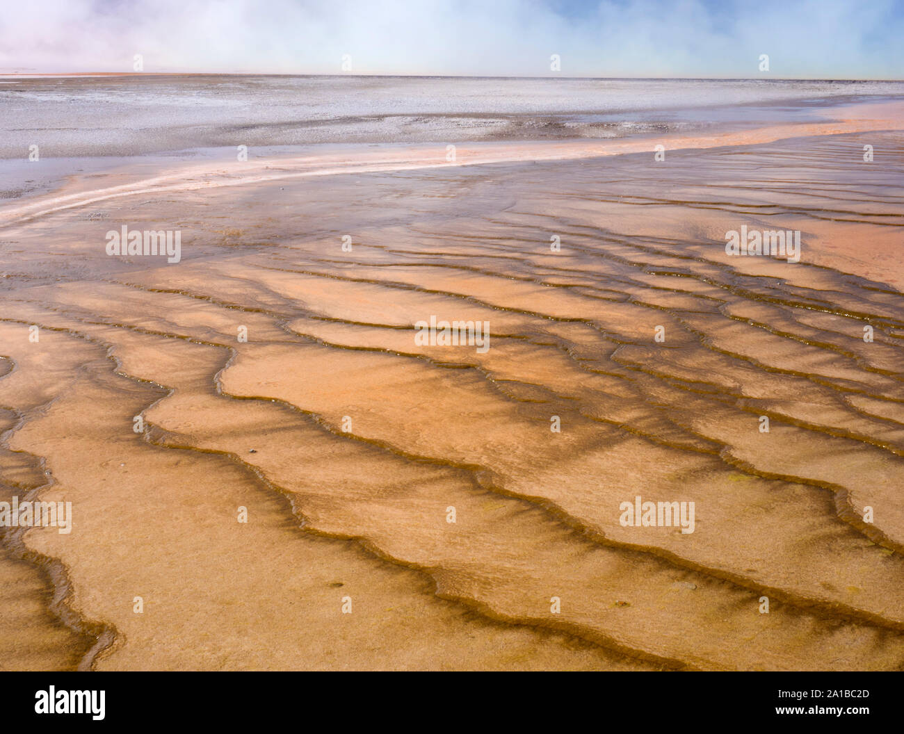 Close-up de colonies d'algues thermophiles et minéraux, Grand Prismatic Spring, Midway Geyser Basin, Parc National de Yellowstone, Wyoming, USA Banque D'Images
