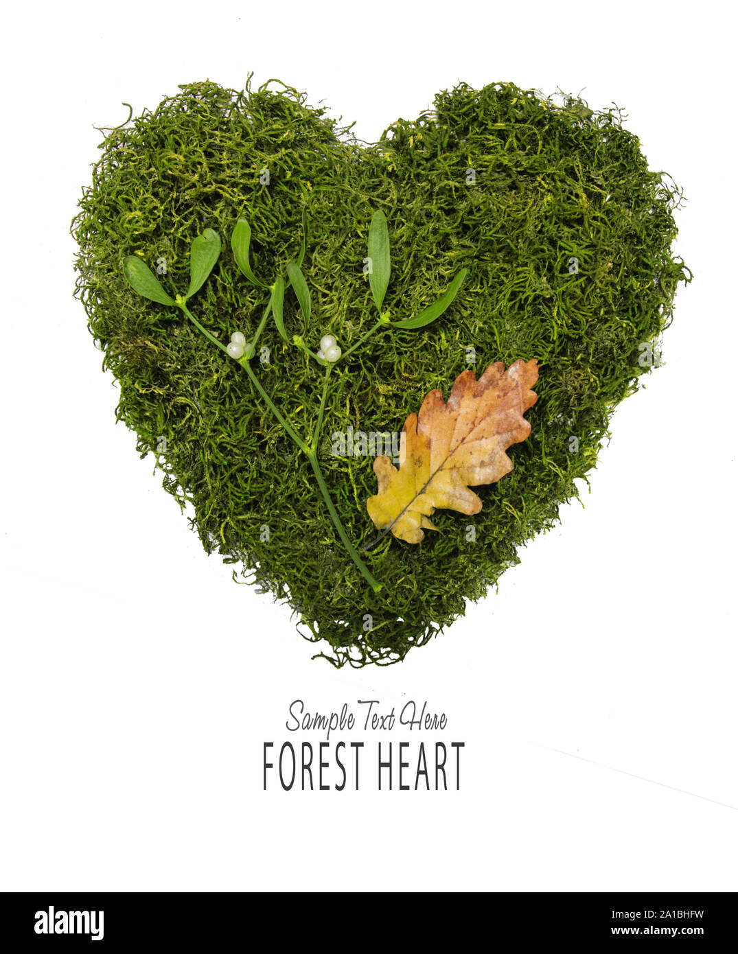 Coeur de la forêt verte Banque D'Images