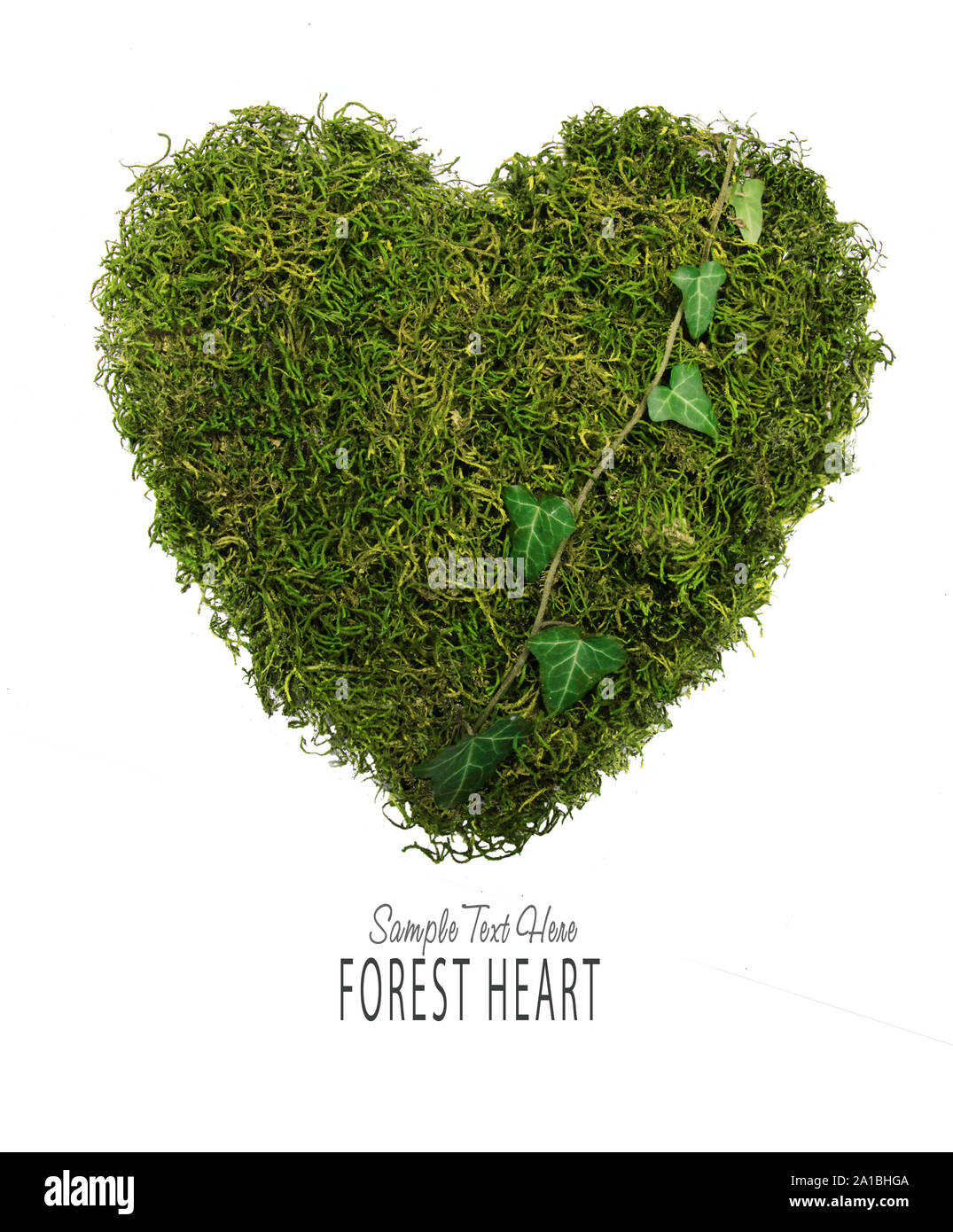 Coeur de la forêt verte Banque D'Images