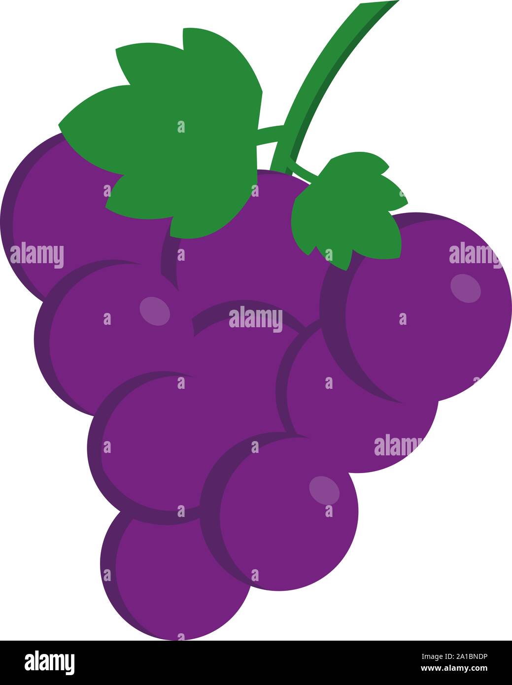 Cépages Rouges, illustration, vecteur sur fond blanc. Illustration de Vecteur Cépages Rouges, illustration, vecteur sur fond blanc. Illustration de Vecteur