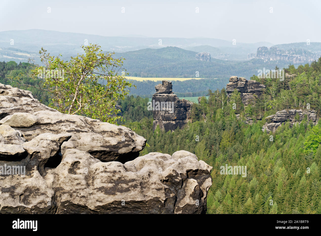 Montagnes de Grès de l'Elbe - vue de 'Sayda" en premier plan, temps brumeux légèrement un rocher de grès avec un bouleau, contexte partie de 'Papststein' un Banque D'Images