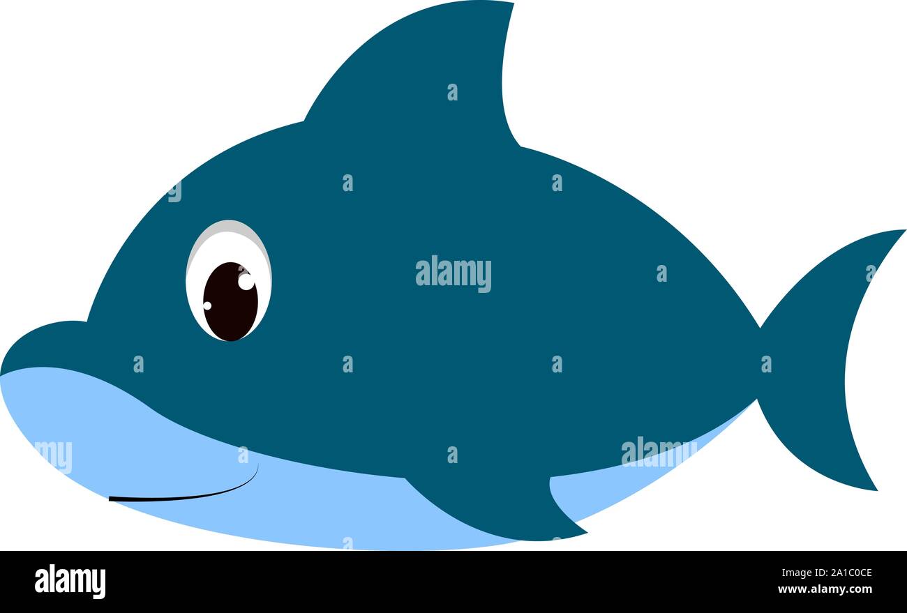 Petit requin, illustration, vecteur sur fond blanc. Illustration de Vecteur