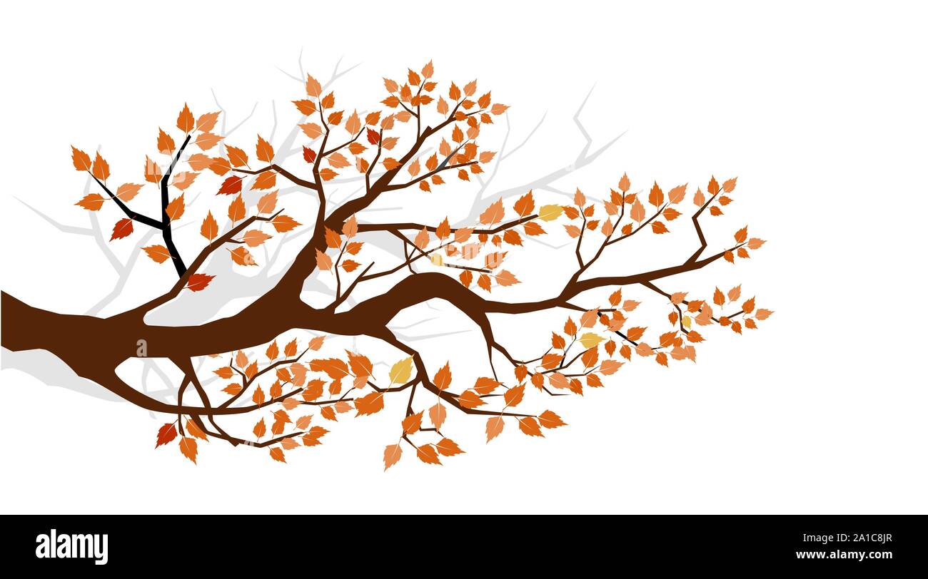 Dessin Branche D arbre Avec Feuille Automne. Branche d'arbre avec feuilles jaunes Image Vectorielle Stock -  Alamy