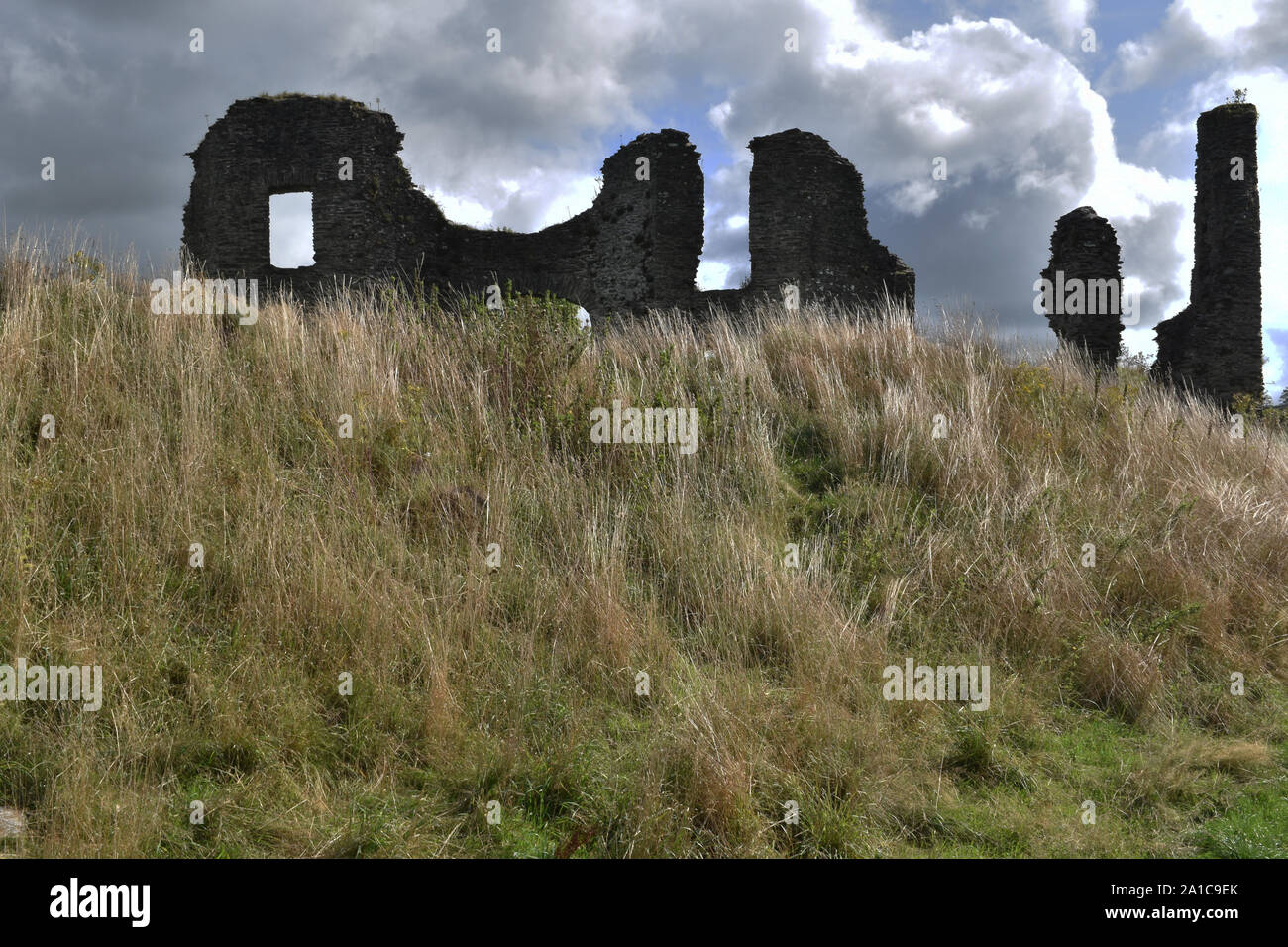 Château en ruine, Newcastle Emlyn, Pays de Galles, Royaume-Uni Banque D'Images