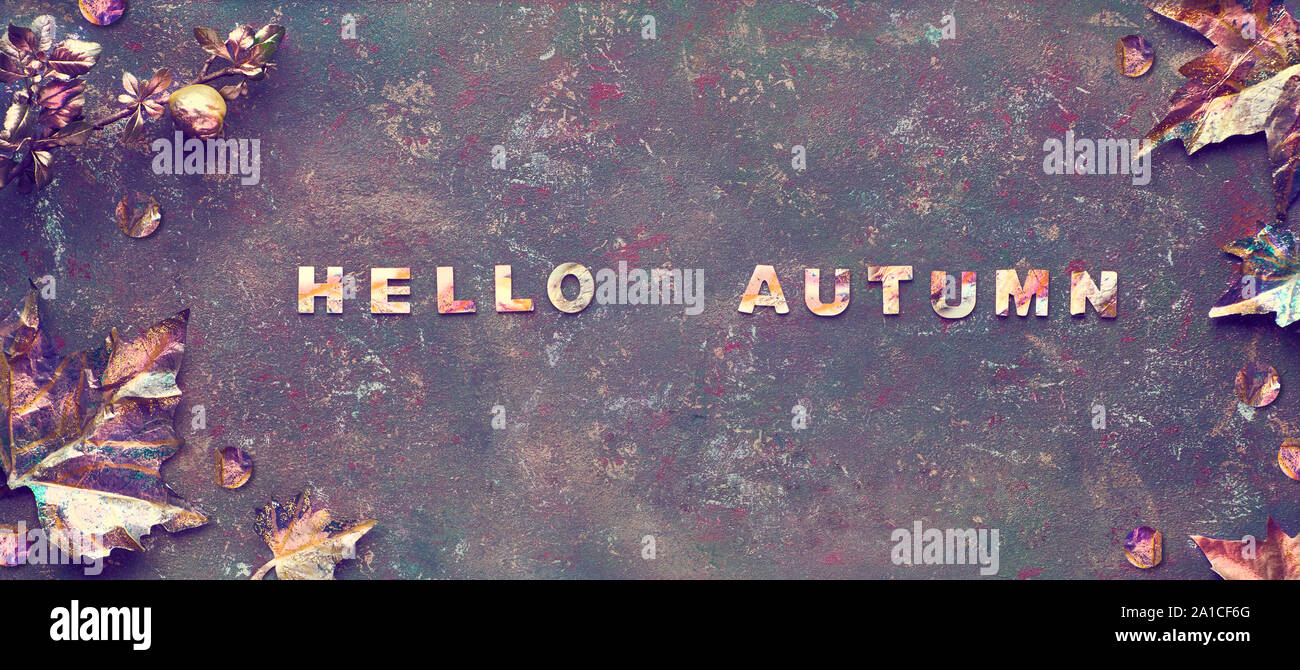 Mise à plat de l'automne avec les feuilles d'or peint et le texte 'Bonjour' sur bacgkrdound texturé noir. Image panoramique, la bannière de la composition. Banque D'Images
