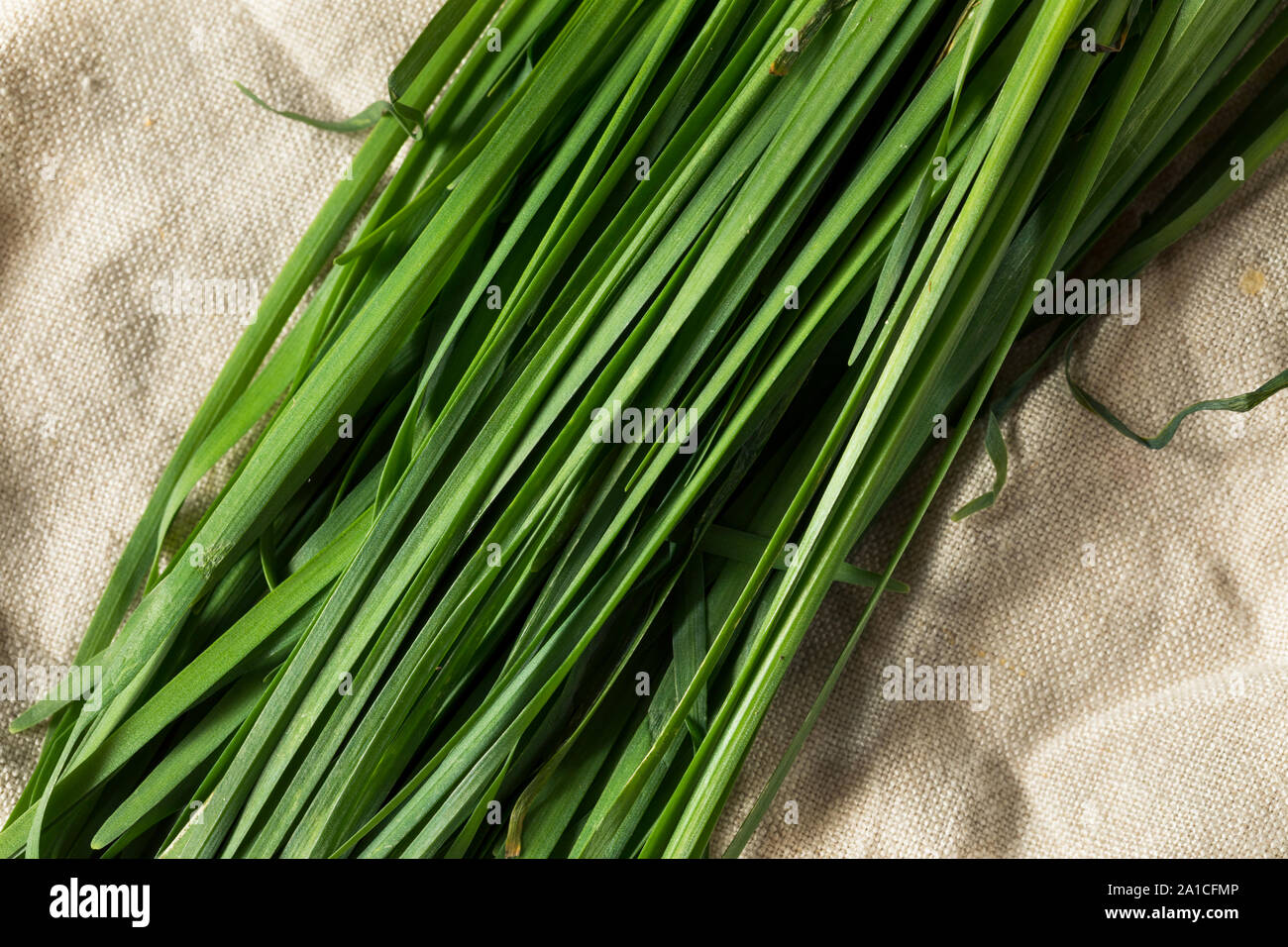 Matières organiques vert ciboulette coréen dans un groupe Banque D'Images