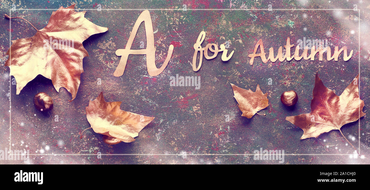 Mise à plat de l'automne avec les feuilles d'or peint et un 'texte' pour l'automne sur bacgkrdound texturé brun foncé. Image panoramique avec cadre et de superpositions, Banque D'Images