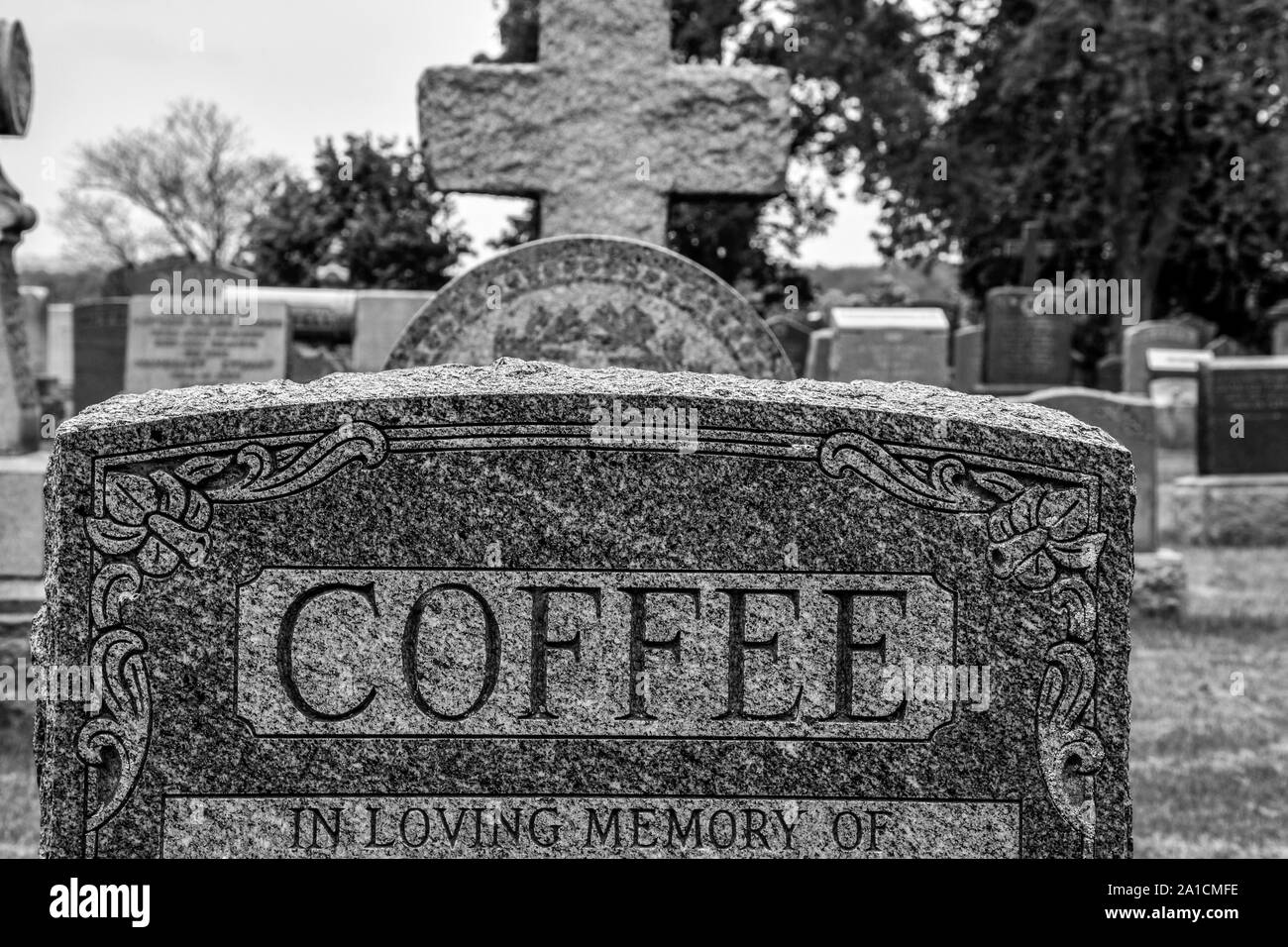 Image Monochrome de plusieurs pierres tombales, le point focal du café lecture, suggérant l'idée de la boisson et de la culture du café. Banque D'Images