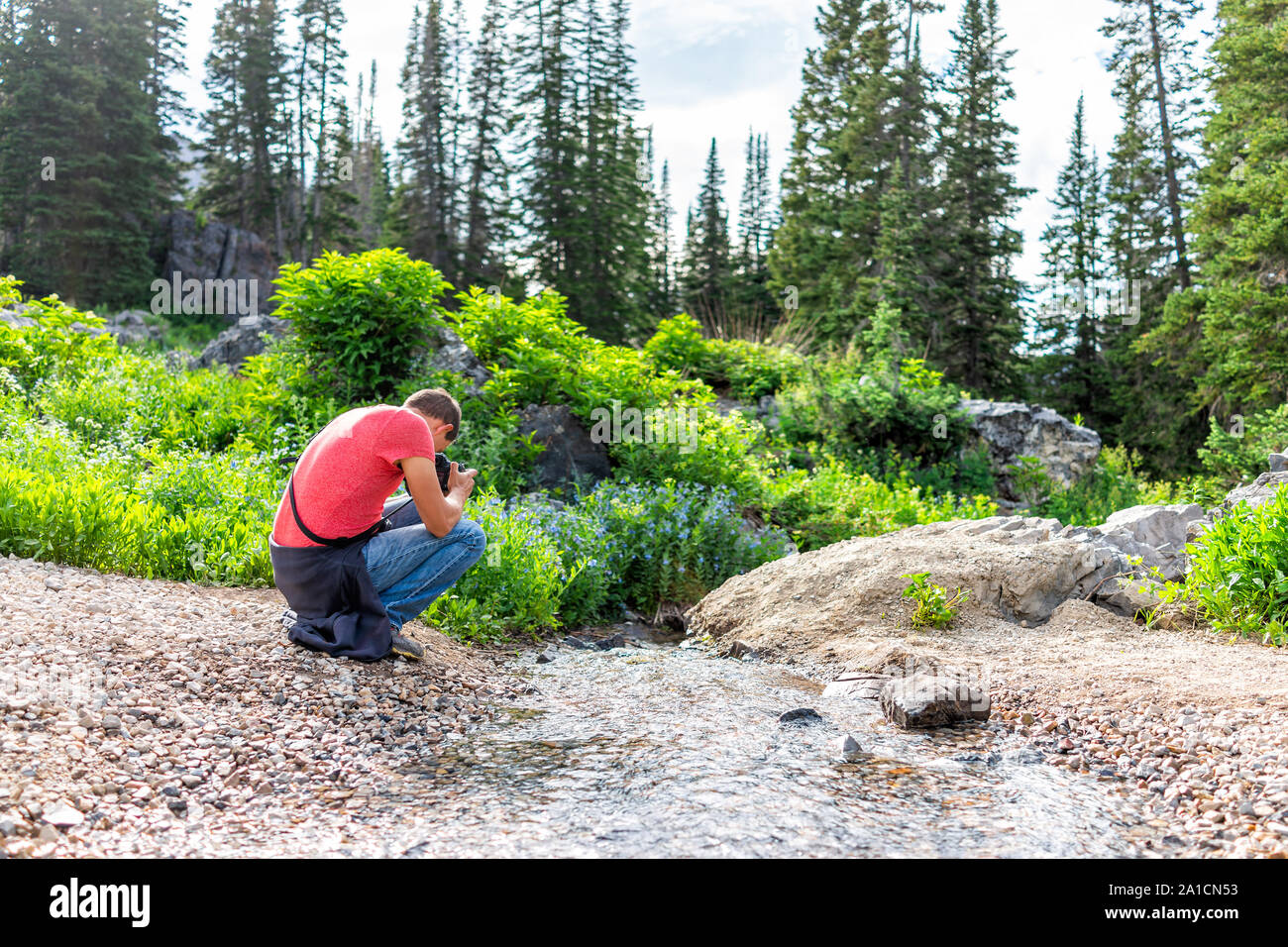 Albion, bassin d'été de l'Utah avec l'homme à prendre des photos de l'eau du ruisseau de la rivière dans les montagnes Wasatch sur Cecret Lake trail randonnée pédestre Banque D'Images