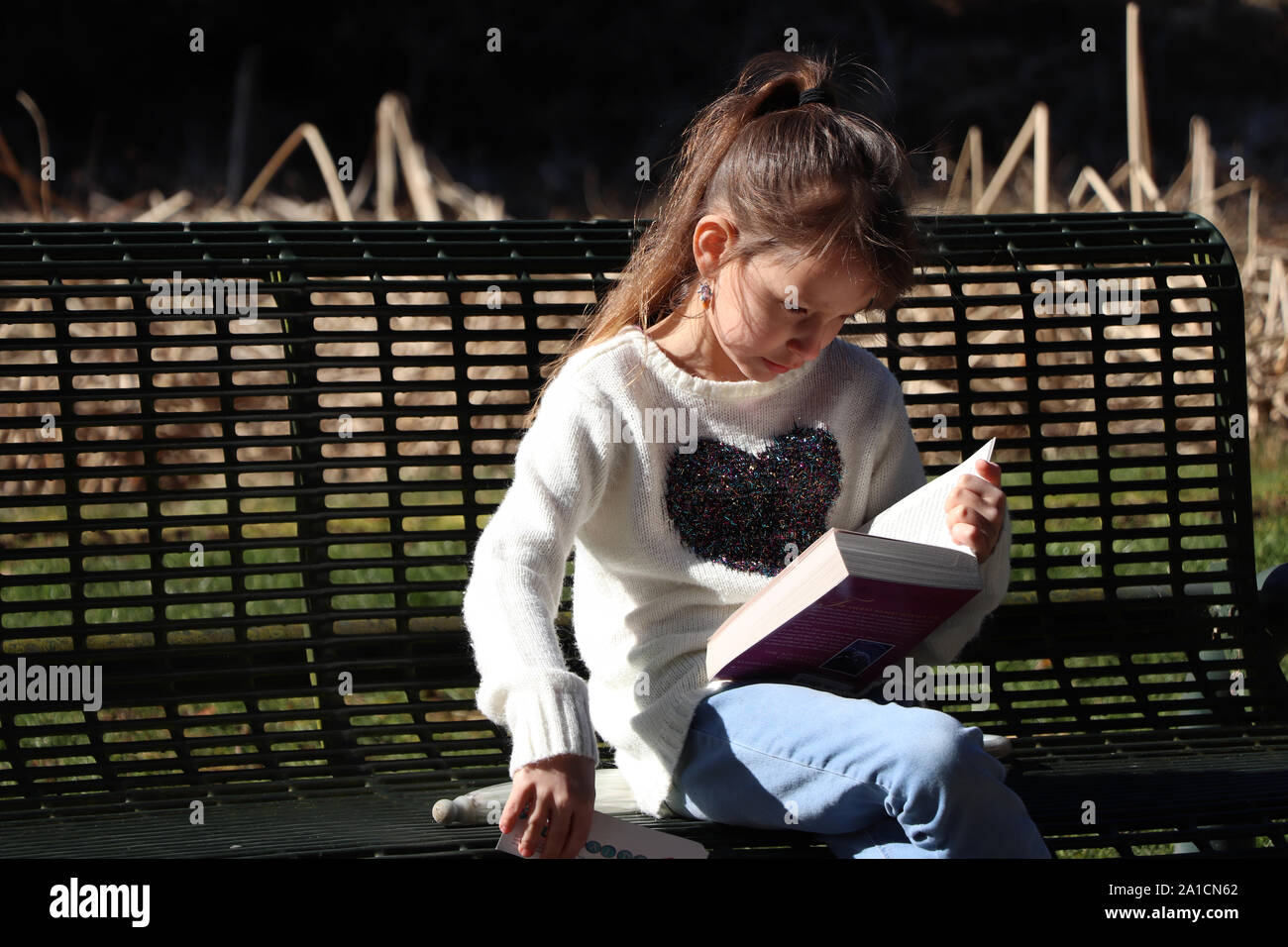 Jeune fille lisant un livre sur un banc dans un parc Banque D'Images