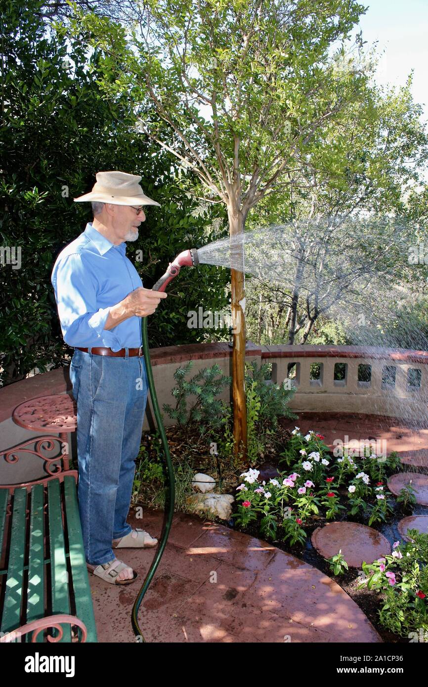 Arroser les plantes, senior homme portant un chapeau dans son jardin dans la lumière du matin Banque D'Images