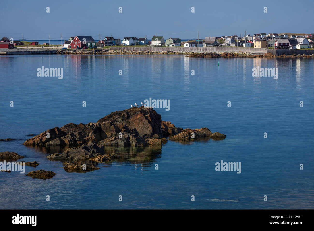 Maisons le long de la baie, Bonavista, Terre-Neuve-et-Labrador, Canada Banque D'Images