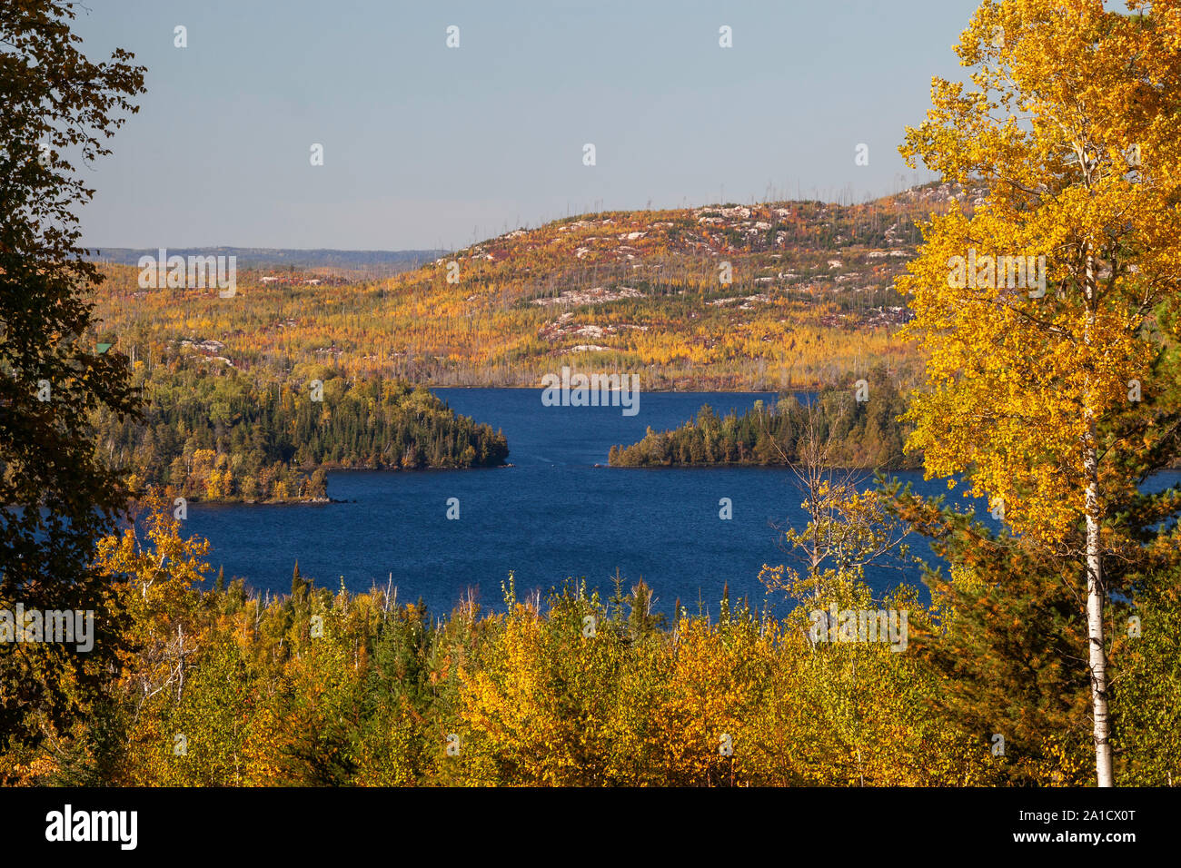 Feuillage D'Automne, Lac Gunflint, Forêt Nationale Supérieure, Minnesota Banque D'Images